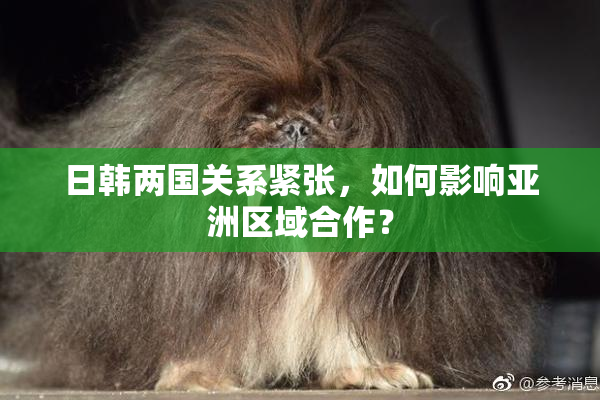 日韩两国关系紧张，如何影响亚洲区域合作？