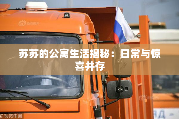 苏苏的公寓生活揭秘：日常与惊喜并存