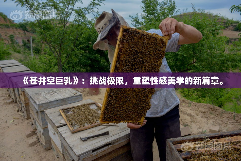 《苍井空巨乳》：挑战极限，重塑性感美学的新篇章。