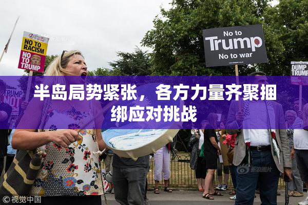 半岛局势紧张，各方力量齐聚捆绑应对挑战