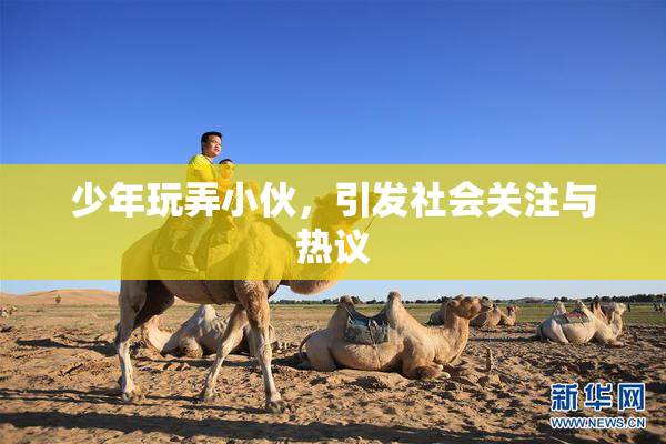 少年玩弄小伙，引发社会关注与热议