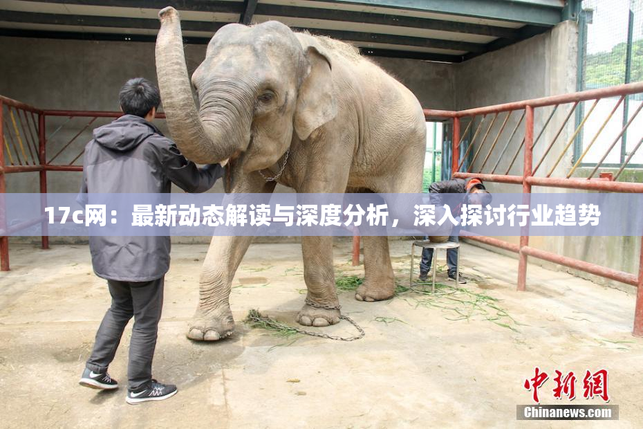 17c网：最新动态解读与深度分析，深入探讨行业趋势