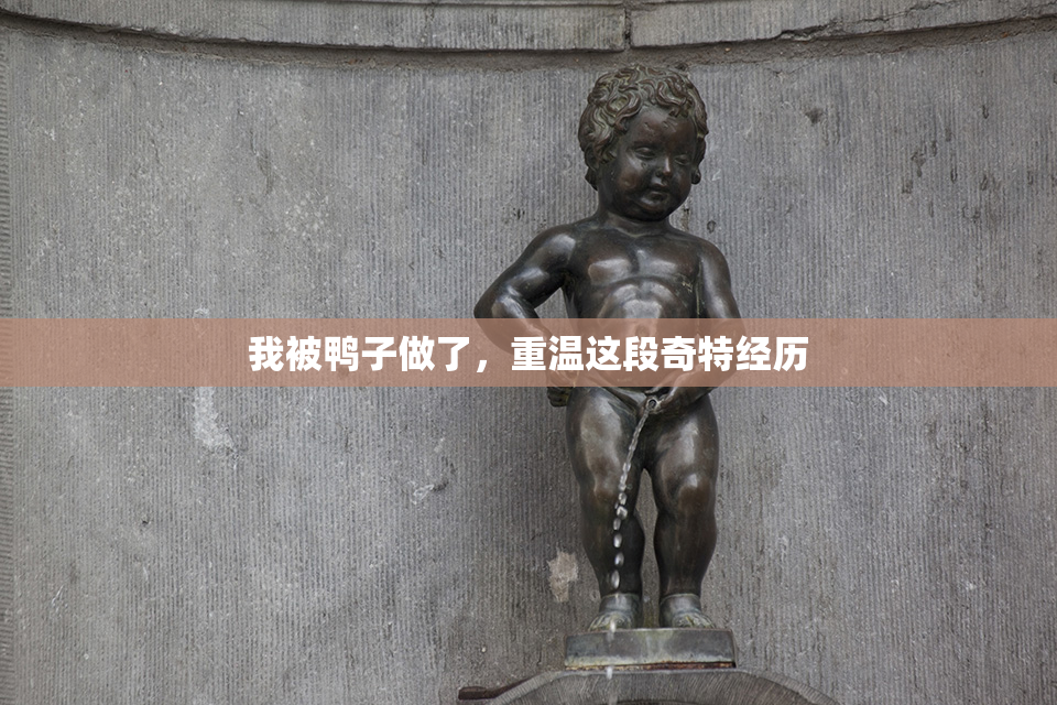 我被鸭子做了，重温这段奇特经历