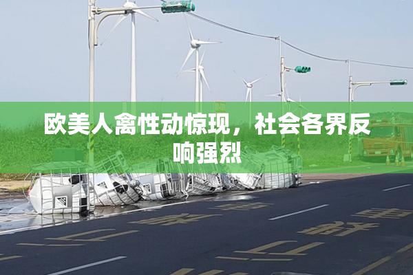 欧美人禽性动惊现，社会各界反响强烈