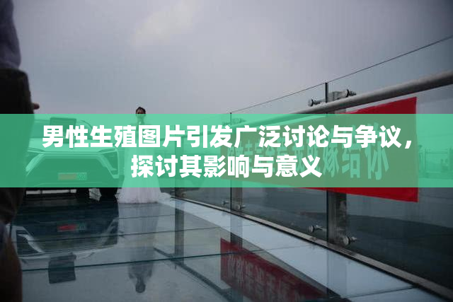 男性生殖图片引发广泛讨论与争议，探讨其影响与意义