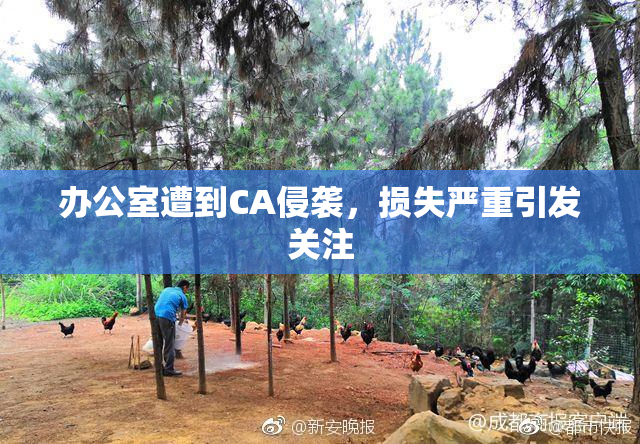 办公室遭到CA侵袭，损失严重引发关注