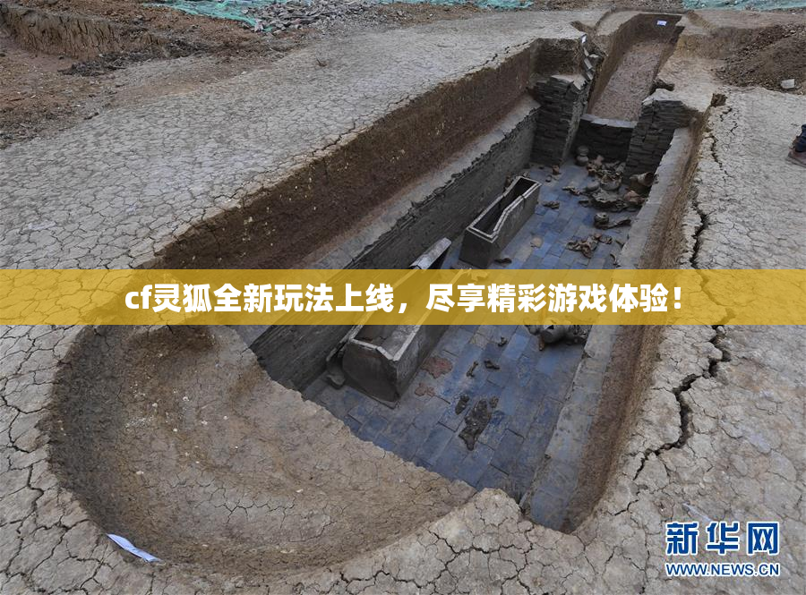 cf灵狐全新玩法上线，尽享精彩游戏体验！