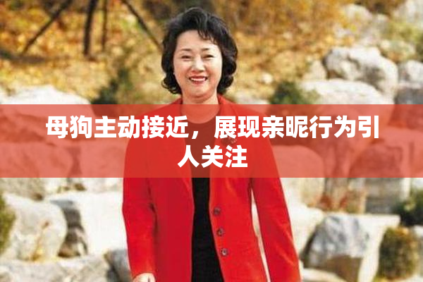 母狗主动接近，展现亲昵行为引人关注