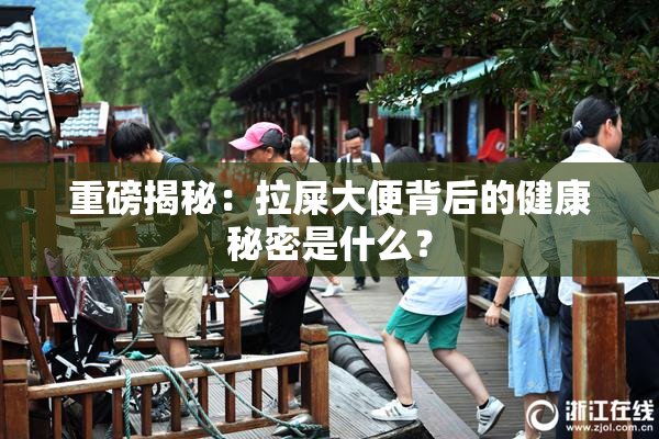 重磅揭秘：拉屎大便背后的健康秘密是什么？