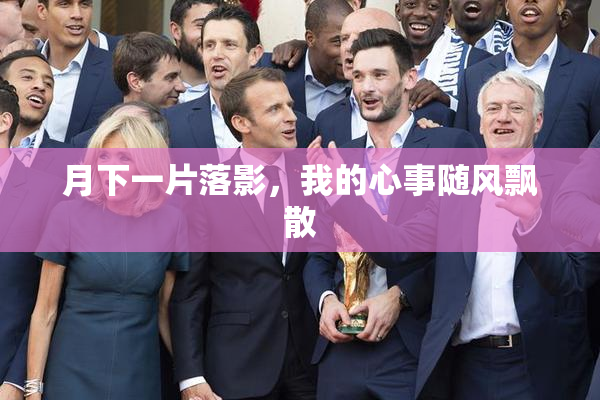 月下一片落影，我的心事随风飘散