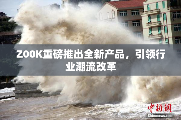 Z00K重磅推出全新产品，引领行业潮流改革