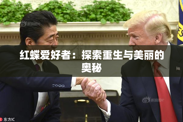 红蝶爱好者：探索重生与美丽的奥秘