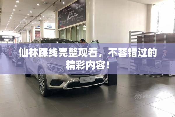 仙林踪线完整观看，不容错过的精彩内容！