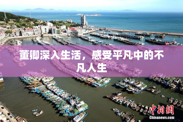 董卿深入生活，感受平凡中的不凡人生