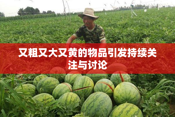 又粗又大又黄的物品引发持续关注与讨论