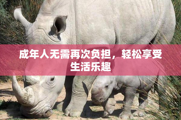 成年人无需再次负担，轻松享受生活乐趣