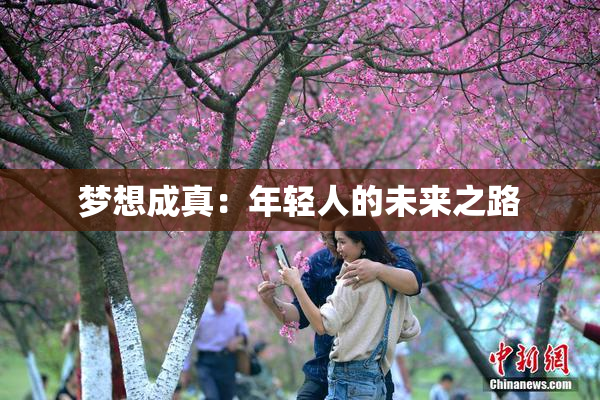 梦想成真：年轻人的未来之路