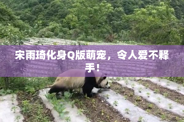 宋雨琦化身Q版萌宠，令人爱不释手！