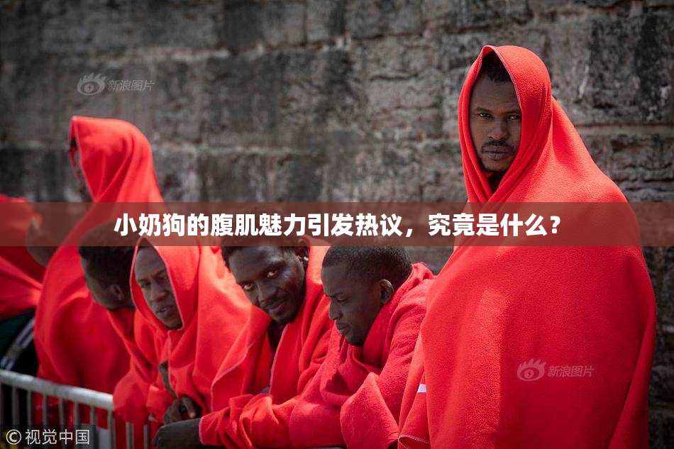 小奶狗的腹肌魅力引发热议，究竟是什么？