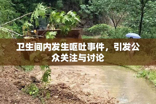 卫生间内发生呕吐事件，引发公众关注与讨论