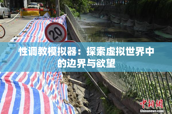 性调教模拟器：探索虚拟世界中的边界与欲望