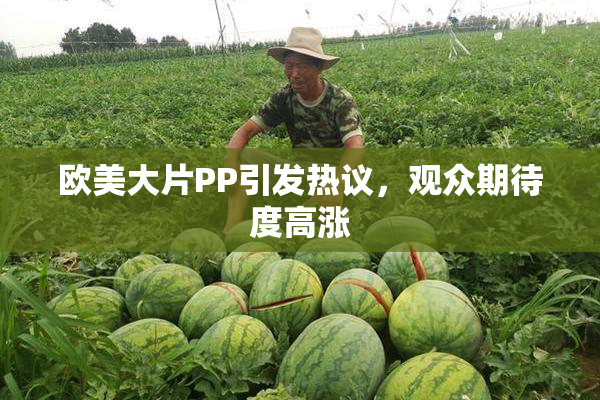 欧美大片PP引发热议，观众期待度高涨