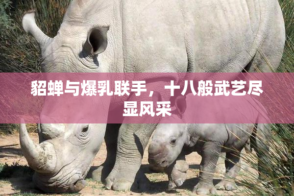 貂蝉与爆乳联手，十八般武艺尽显风采