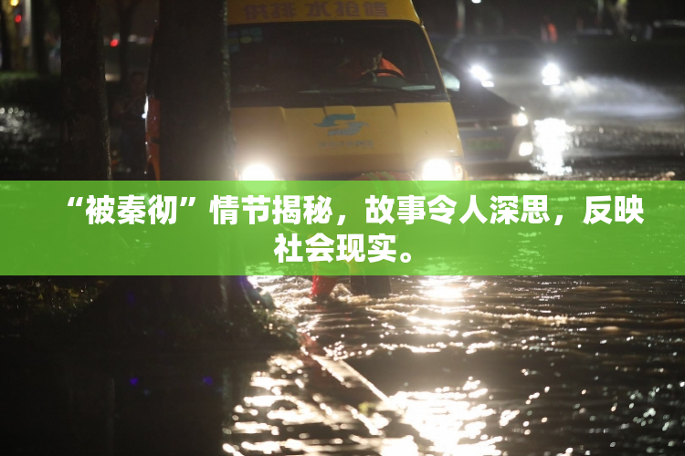 “被秦彻”情节揭秘，故事令人深思，反映社会现实。