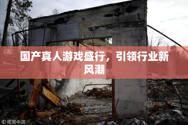 国产真人游戏盛行，引领行业新风潮