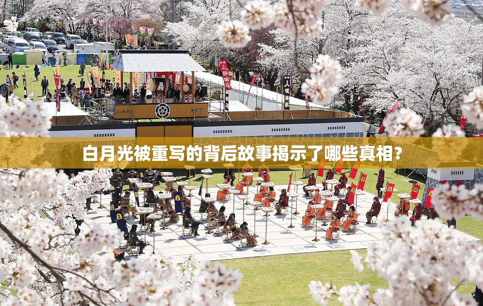 白月光被重写的背后故事揭示了哪些真相？