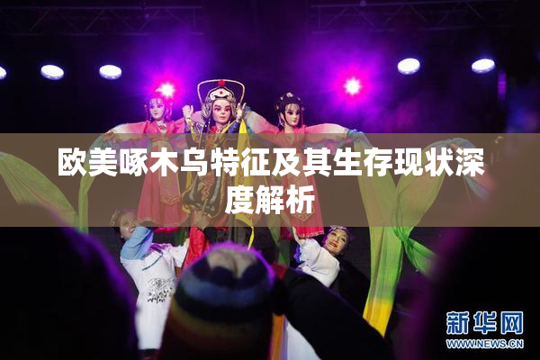 欧美啄木乌特征及其生存现状深度解析