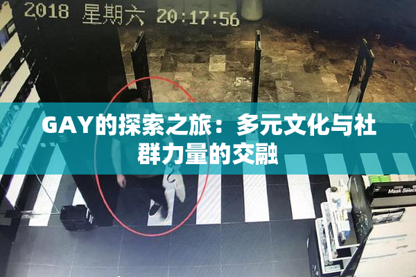GAY的探索之旅：多元文化与社群力量的交融