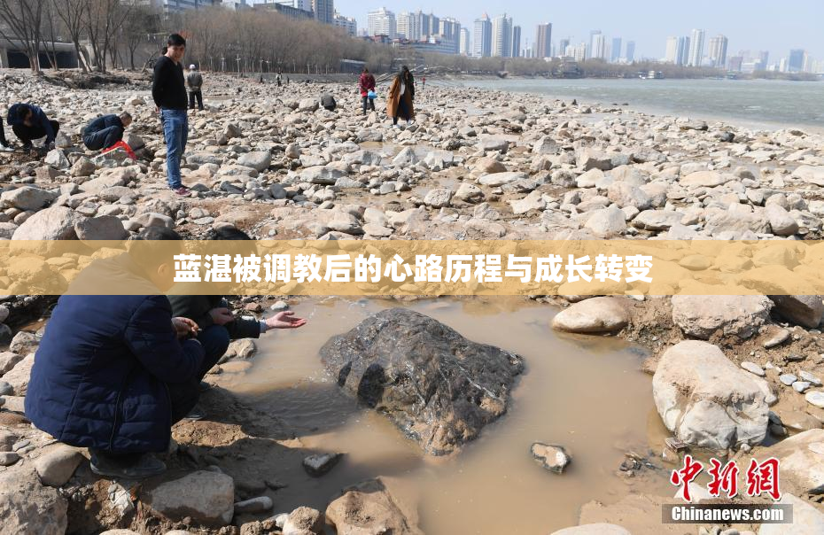 蓝湛被调教后的心路历程与成长转变