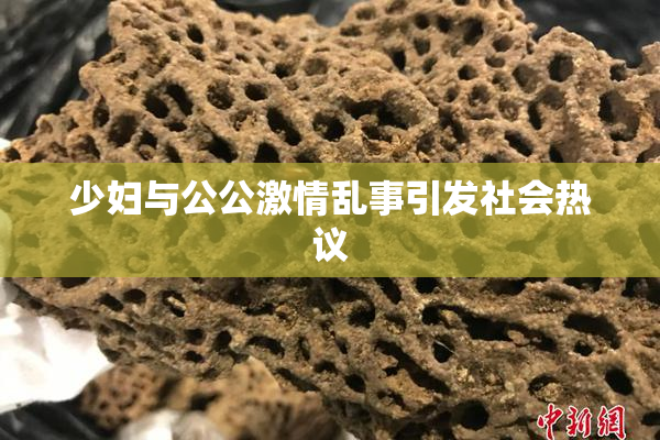 少妇与公公激情乱事引发社会热议