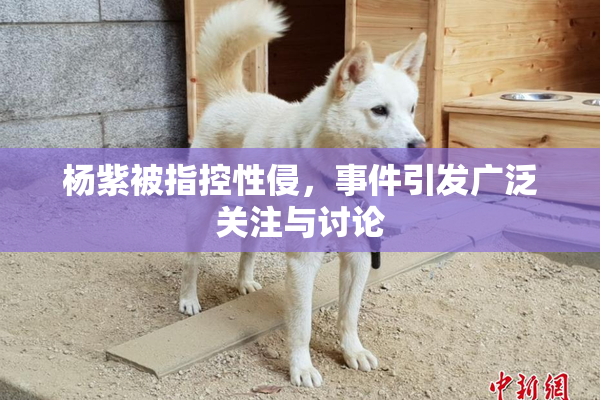 杨紫被指控性侵，事件引发广泛关注与讨论