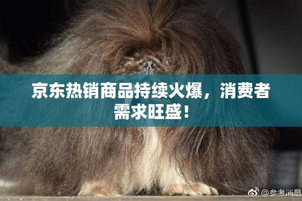 京东热销商品持续火爆，消费者需求旺盛！