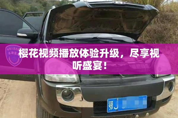 樱花视频播放体验升级，尽享视听盛宴！