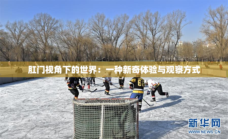 肛门视角下的世界：一种新奇体验与观察方式