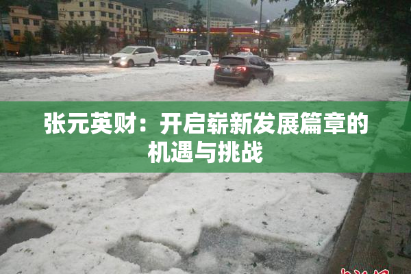 张元英财：开启崭新发展篇章的机遇与挑战