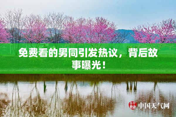 免费看的男同引发热议，背后故事曝光！