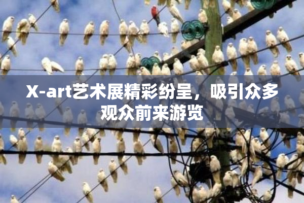 X-art艺术展精彩纷呈，吸引众多观众前来游览