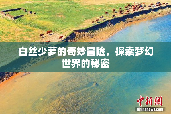 白丝少萝的奇妙冒险，探索梦幻世界的秘密