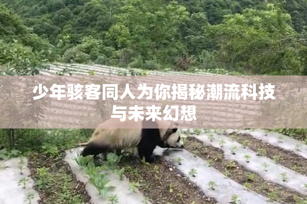 少年骇客同人为你揭秘潮流科技与未来幻想