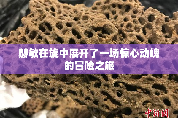 赫敏在旋中展开了一场惊心动魄的冒险之旅