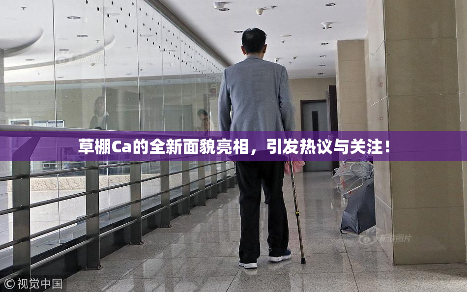 草棚Ca的全新面貌亮相，引发热议与关注！