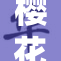樱花妹影带你领略春日的浪漫与魅力