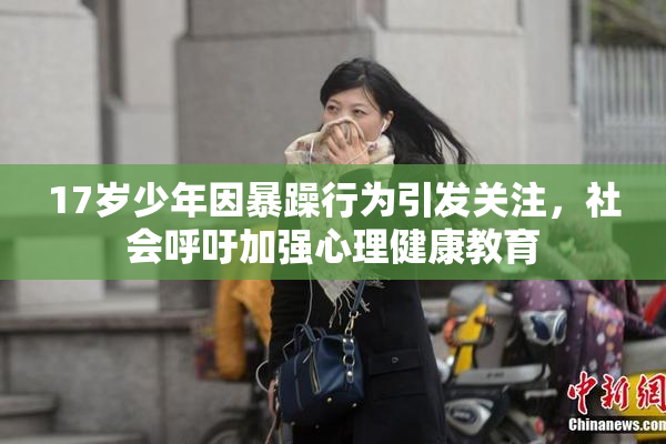 17岁少年因暴躁行为引发关注，社会呼吁加强心理健康教育