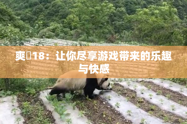 爽擼18：让你尽享游戏带来的乐趣与快感