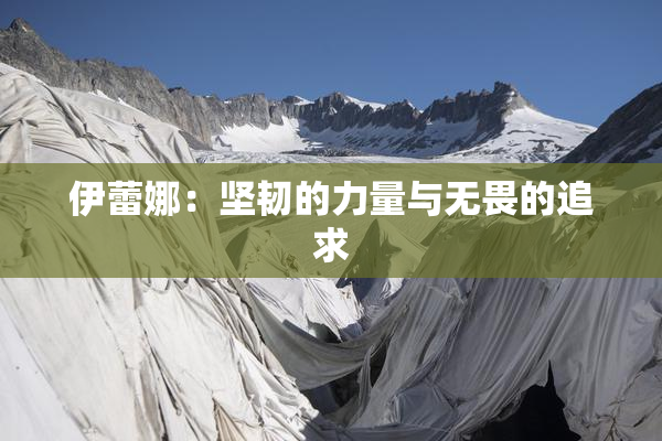 伊蕾娜：坚韧的力量与无畏的追求