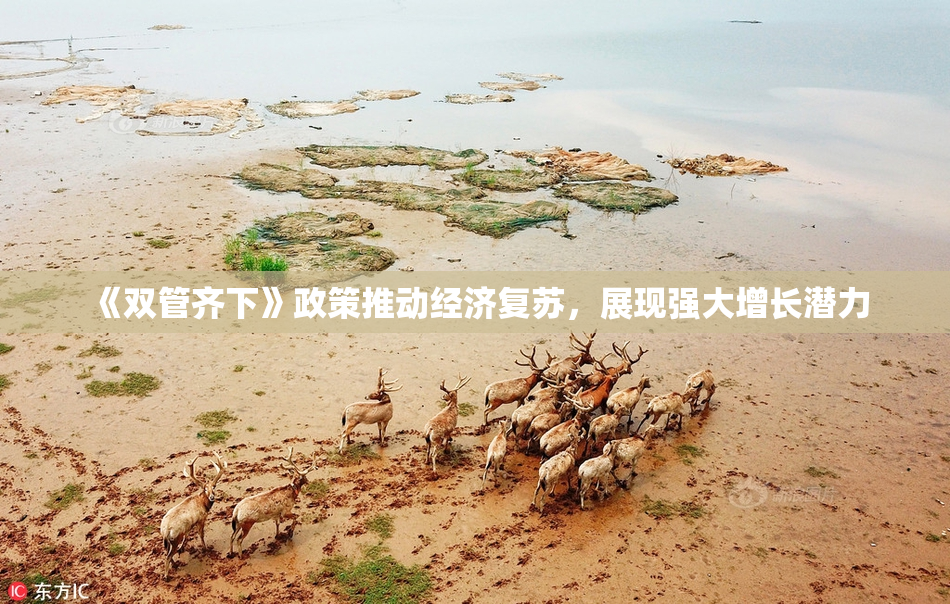 《双管齐下》政策推动经济复苏，展现强大增长潜力